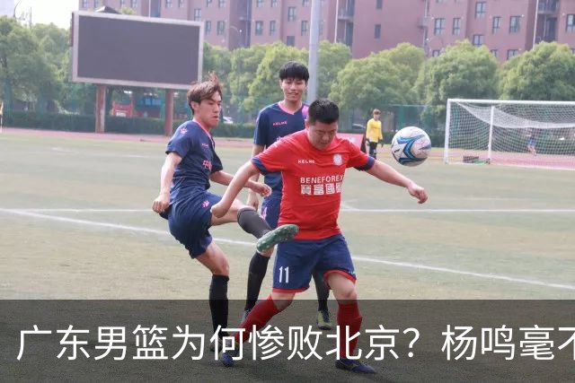 广东男篮为何惨败北京？杨鸣毫不留情一针见血！球迷想念杜锋！